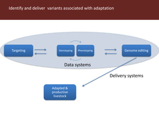 ILRI program outline: Livestock Genetics