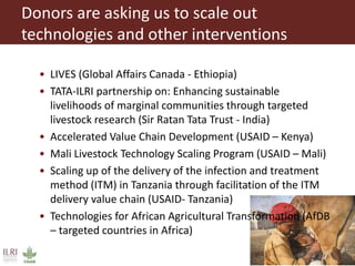 ILRI program outline: Impact at Scale