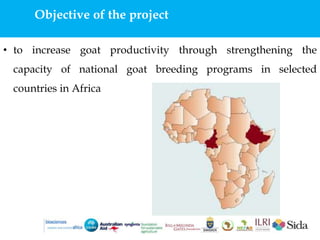 Harnessing genetic diversity for improving goat productivity in Africa