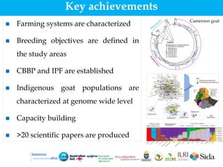 Harnessing genetic diversity for improving goat productivity in Africa