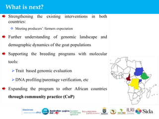Harnessing genetic diversity for improving goat productivity in Africa