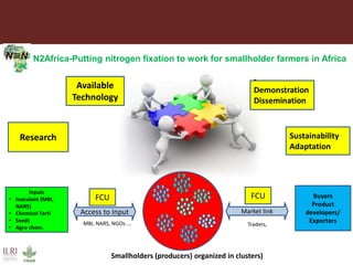 Intensification of crop-livestock systems through Public-Private Partnership (PPP):  Experiences from ILRI-N2Africa