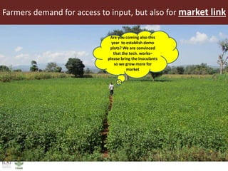 Intensification of crop-livestock systems through Public-Private Partnership (PPP):  Experiences from ILRI-N2Africa