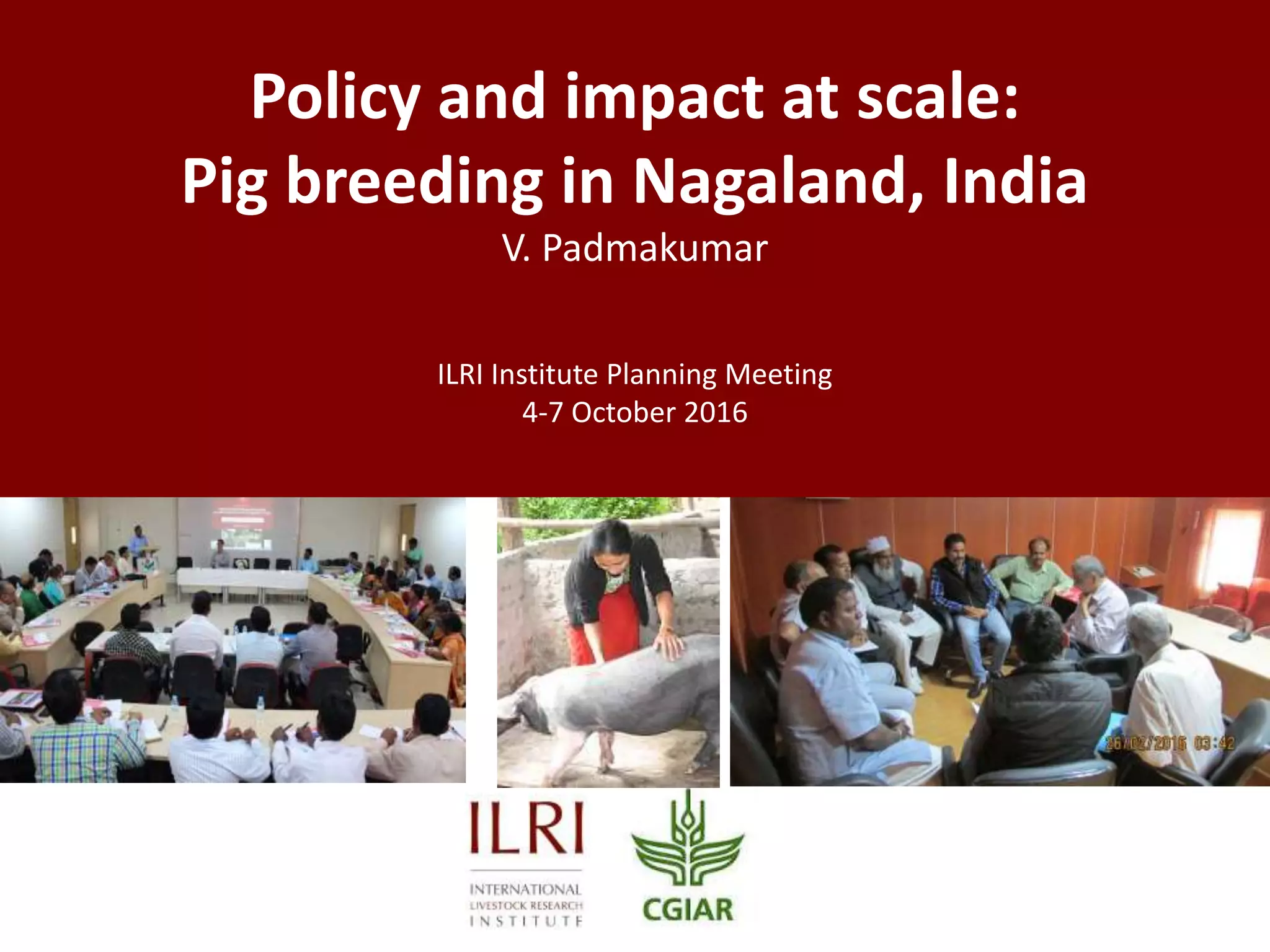 Policy and impact at scale:
Pig breeding in Nagaland, India
V. Padmakumar
ILRI Institute Planning Meeting
4-7 October 2016