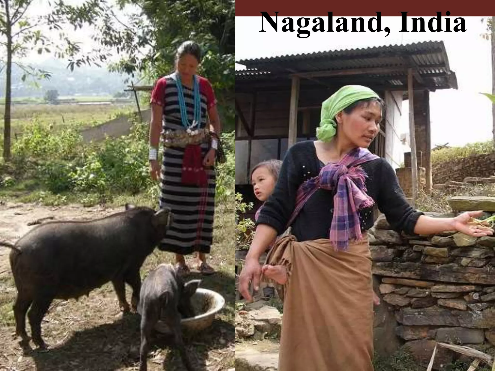 Nagaland, India