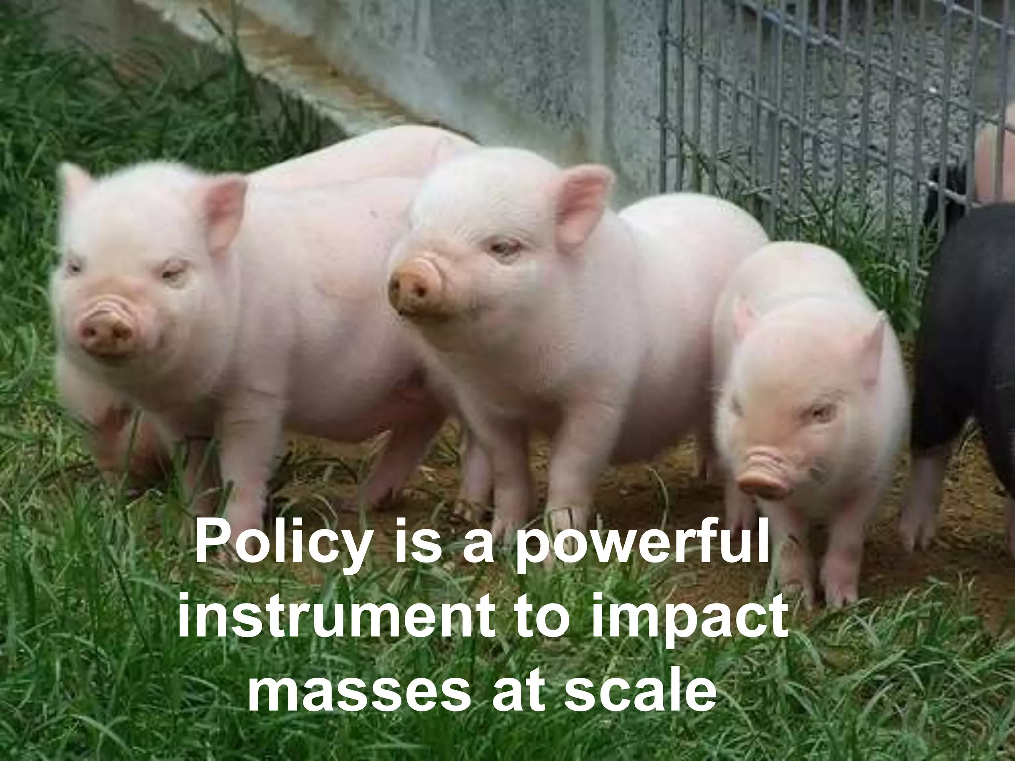 Thank you!
Policy is a powerful
instrument to impact
masses at scale