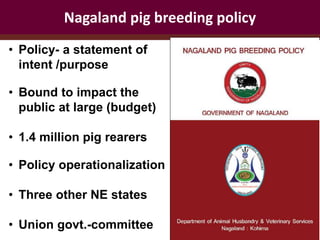 Policy and impact at scale: Pig breeding in Nagaland, India