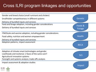 ILRI program outline: Policy, Value Chains and Livelihoods