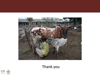 ILRI program outline: Policy, Value Chains and Livelihoods