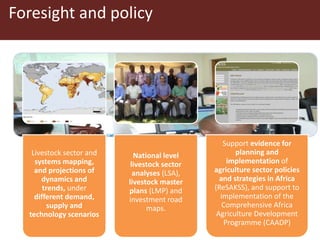 ILRI program outline: Policy, Value Chains and Livelihoods