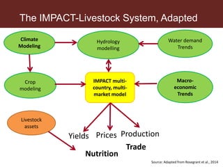 Livestock in national food security and nutrition: Trends and projections for 8 developing countries