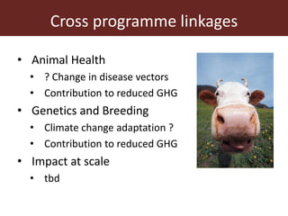 ILRI program outline: Sustainable Livestock Systems