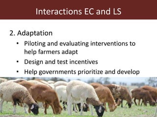 ILRI program outline: Sustainable Livestock Systems