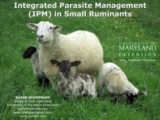 Integrated Parasite Management
(IPM) in Small Ruminants
SUSAN SCHOENIAN
Sheep & Goat Specialist
University of Maryland Extension
sschoen@umd.edu
www.sheepandgoat.com
www.wormx.info
SMALL RUMINANT PROGRAM
 