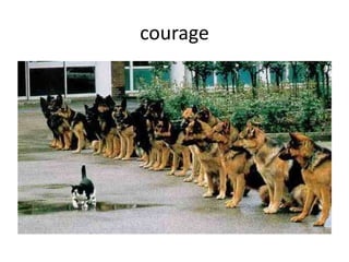 courage
 