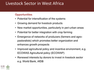Highlights of ILRI in West Africa