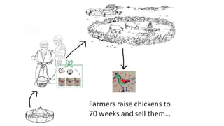 Women in business: Chicken seed dissemination in Ethiopia and Tanzania