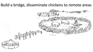 Women in business: Chicken seed dissemination in Ethiopia and Tanzania