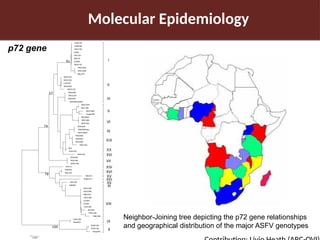 Pig value chain and African swine fever mitigation: A call to rally cross-program collaboration
