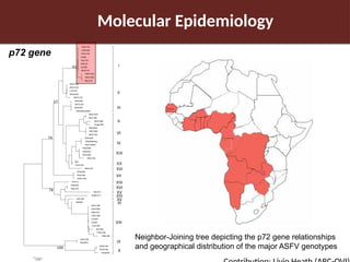 Pig value chain and African swine fever mitigation: A call to rally cross-program collaboration