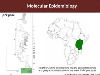 Pig value chain and African swine fever mitigation: A call to rally cross-program collaboration