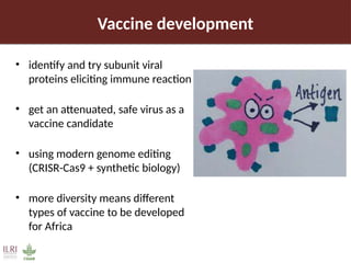 Pig value chain and African swine fever mitigation: A call to rally cross-program collaboration