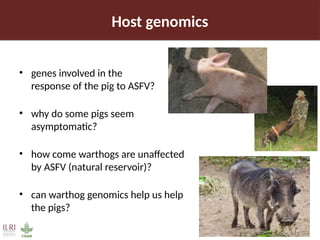 Pig value chain and African swine fever mitigation: A call to rally cross-program collaboration