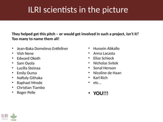 Pig value chain and African swine fever mitigation: A call to rally cross-program collaboration