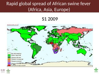Pig value chain and African swine fever mitigation: A call to rally cross-program collaboration