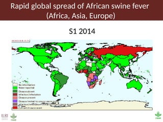 Pig value chain and African swine fever mitigation: A call to rally cross-program collaboration