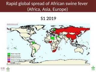 Pig value chain and African swine fever mitigation: A call to rally cross-program collaboration