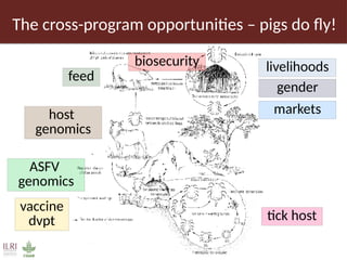 Pig value chain and African swine fever mitigation: A call to rally cross-program collaboration