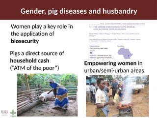 Pig value chain and African swine fever mitigation: A call to rally cross-program collaboration