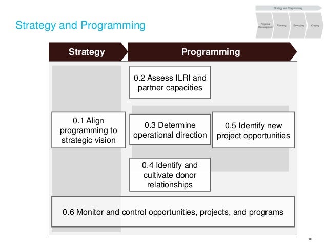 The Program Management Framework—What's New?