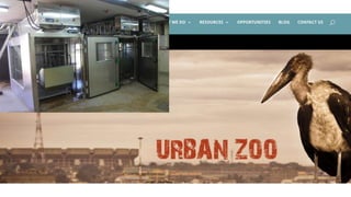 Peri-Urban agriculture:  Opportunities for sustainable and climate friendly livestock