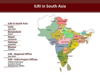 ILRI in South Asia