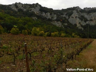Vallon-Pont-d’Arc
 