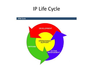 Ip Development Intellectual Property Management | PPTX