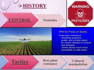 Integrated Pest Management (IPM) by TS- Shiven R. Trambadia | PPTX