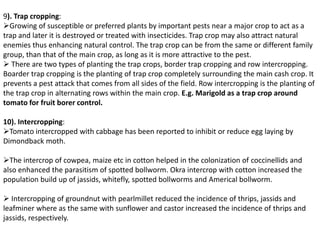 9). Trap cropping:
Growing of susceptible or preferred plants by important pests near a major crop to act as a
trap and later it is destroyed or treated with insecticides. Trap crop may also attract natural
enemies thus enhancing natural control. The trap crop can be from the same or different family
group, than that of the main crop, as long as it is more attractive to the pest.
 There are two types of planting the trap crops, border trap cropping and row intercropping.
Boarder trap cropping is the planting of trap crop completely surrounding the main cash crop. It
prevents a pest attack that comes from all sides of the field. Row intercropping is the planting of
the trap crop in alternating rows within the main crop. E.g. Marigold as a trap crop around
tomato for fruit borer control.
10). Intercropping:
Tomato intercropped with cabbage has been reported to inhibit or reduce egg laying by
Dimondback moth.
The intercrop of cowpea, maize etc in cotton helped in the colonization of coccinellids and
also enhanced the parasitism of spotted bollworm. Okra intercrop with cotton increased the
population build up of jassids, whitefly, spotted bollworms and Americal bollworm.
 Intercropping of groundnut with pearlmillet reduced the incidence of thrips, jassids and
leafminer where as the same with sunflower and castor increased the incidence of thrips and
jassids, respectively.
 