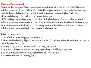 Nicotine (Solanaceae)
Found in the leaves of Nicotiana tabacum and N. rustica from 2% to 14%. Nicotine
sulphate- contact insecticide with marked fumigant action in the control of sucking
insects. More stable and less volatile and is a nerve poison. Highly toxic when
absorbed through the cuticle, trachea or injestion.
Affects the ganglion blocking conduction at higher levels. Contains 40% alkaloid, is
safer and is more convenient to use. Free alkaloid is liberated by the addition of soap
lime or ammonium hydroxide to the spray solution. Dust formulation of nicotine
sulphate releases nicotine in the presence of moisture.
Tobacco decoction:
1. Useful for controlling aphids, thrips etc.
2. Prepared by boiling 1kg of tobacco waste in 10lts of water for 30 minutes or steep it
in cold water for a day.
3. Make it up to 30 litres and add about 90gm of soap.
4. Addition of soap improves wetting, spreading and killing properties.
5. Does not leave any harmful residue on treated surface.
6. LD50for rat oral- 50-60 mg/kg.
 