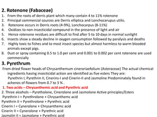 2. Rotenone (Fabaceae)
1. From the roots of derris plant which many contain 4 to 11% rotenone
2. Principal commercial sources are Derris elliptica and Lonchocarupus utilis.
3. Rotenone occurs in Derris roots (4-9%), Lonchocarpus (8-11%)
4. Oxidizes to non-insecticidal compound in the presence of light and air
5. Hence rotenone residues are difficult to find after 5 to 10 days in normal sunlight
6. Insects show a steady decline in oxygen consumption followed by paralysis and deaths
7. Highly toxic to fishes and to most insect species but almost harmless to warm blooded
animals except pigs.
8. Dust or spray containing 0.5 to 1.0 per cent and 0.001 to 0.002 per cent rotenone are used
commercially
3. Pyrethrum:
From dried flower heads of Chrysanthemum cinerariaefolium (Asteraceae) The actual chemical
ingredients having insecticidal action are identified as five esters They are:
Pyrethrin I, Pyrethrin II, Cinerins-I and Cinerin-II and Jasmoline Predominately found in
achenes of flowers from 0.7 to 3 % .
1. Two acids – Chrysanthemic acid and Pyrethric acid
2. Three alcohols – Pyretholone, Cinerolone and Jasmolone Active principles/Esters
Pyrethrin I = Pyrethrolone + Chrysanthemc acid
Pyrethrin II = Pyrethrolone + Pyrethric acid
Cinerin I = Cynerolone + Chrysanthemc acid
Cinerin II = Cynerolone + Pyrethric acid
Jasmolin II = Jasmolone + Pyrethric acid
 