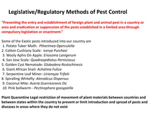 Legislative/Regulatory Methods of Pest Control
“Preventing the entry and establishment of foreign plant and animal pest in a country or
area and eradication or suppression of the pests established in a limited area through
compulsory legislation or enactment.”
Some of the Exotic pests introduced into our country are
1. Potato Tuber Moth: Pthorimea Operculella
2. Cotton Cushiony Scale: Icerya Purchasi
3. Wooly Aphis On Apple: Eriosoma Lanigerum
4. San Jose Scale: Quadraspidiotus Perniciosus
5. Golden Cyst Nematode: Globodera Rostochinesis
6. Giant African Snail: Achatina Fulica
7. Serpentine Leaf Miner: Liriomyza Trifolii
8. Spiralling Whitefly: Alerodicus Dispersus
9. Coconut Mite: Aceria Guerreoronis Etc
10. Pink bollworm - Pectinophora gossypiella
Plant Quarantine Legal restriction of movement of plant materials between countries and
between states within the country to prevent or limit introduction and spread of pests and
diseases in areas where they do not exist
 