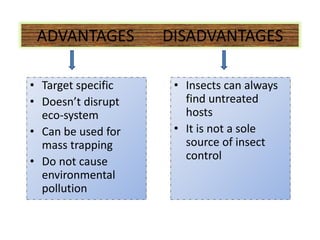 ADVANTAGES DISADVANTAGES
• Target specific
• Doesn’t disrupt
eco-system
• Can be used for
mass trapping
• Do not cause
environmental
pollution
• Insects can always
find untreated
hosts
• It is not a sole
source of insect
control
 