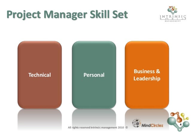 Project Manager skill set