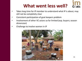  Innovation platforms in the imGoats project: Lessons learned