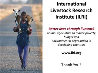  Innovation platforms in the imGoats project: Lessons learned