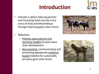  Innovation platforms in the imGoats project: Lessons learned