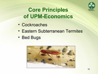 10
Core Principles
of UPM-Economics
• Cockroaches
• Eastern Subterranean Termites
• Bed Bugs
 