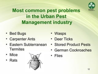 12
Most common pest problems
in the Urban Pest
Management industry
• Bed Bugs
• Carpenter Ants
• Eastern Subterranean
Termites
• Mice
• Rats
• Wasps
• Deer Ticks
• Stored Product Pests
• German Cockroaches
• Flies
 